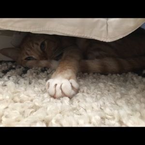 Meet your Posher, Marisa